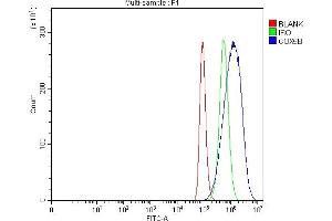 Flow Cytometry analysis of Hela cells using anti-COX5B antibody (ABIN7598975). (COX5B Antikörper  (AA 1-129))