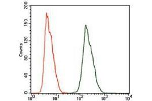Flow cytometric analysis of HeLa cells using ALDH2 mouse mAb (green) and negative control (red). (ALDH2 Antikörper  (AA 317-517))