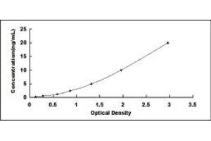 Typical standard curve (Ferritin Mitochondrial ELISA Kit)