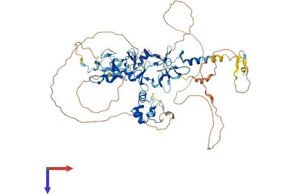 ABLIM2 Protein (AA 1-612) (His tag)