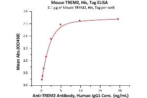 Immobilized Mouse TREM2, His, Tag (ABIN6973293) at 1 μg/mL (100 μL/well) can bind A Antibody, Human IgG1 with a linear range of 0.