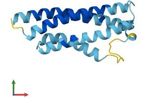 Protein Structure (PS) image for Cornichon Homolog (CNIH) (AA 1-144) protein (His tag) (ABIN7546506)