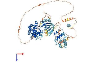 RIPK1 Protein (AA 1-671) (His tag)