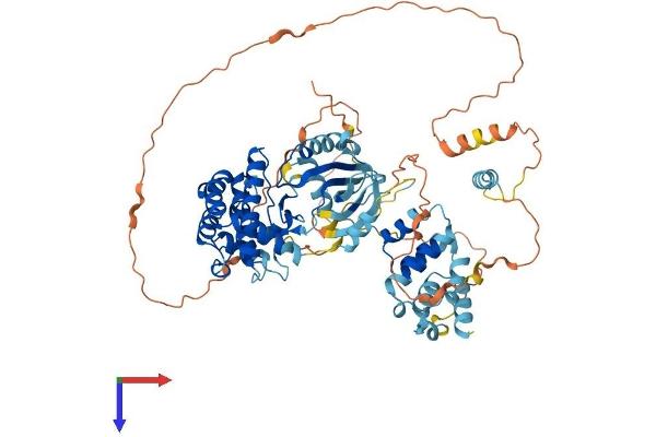 RIPK1 Protein (AA 1-671) (His tag)