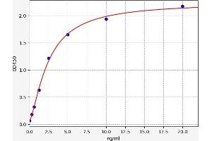 RNASET2 ELISA Kit