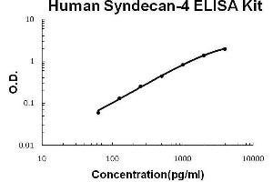 Human Syndecan-4/SDC4 PicoKine ELISA Kit standard curve