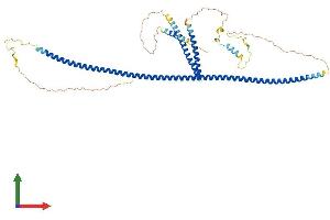 Protein Structure (PS) image for Centrosomal Protein 57kDa (CEP57) (AA 1-500) protein (His tag) (ABIN7559282)
