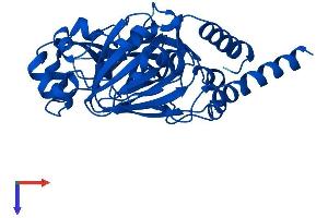 JMJD7 Protein (AA 1-316) (His tag)