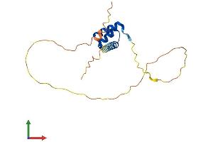 Protein Structure (PS) image for Rhox Homeobox Family, Member 1 (RHOXF1) (AA 1-184) protein (His tag) (ABIN7551420)