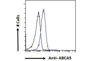 ABIN302142 Flow cytometric analysis of paraformaldehyde fixed HepG2 cells (blue line), permeabilized with 0. (ABCA5 Antikörper  (Internal Region))