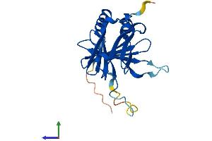 Protein Structure (PS) image for Deleted in Primary Ciliary Dyskinesia Homolog (DPCD) (AA 1-203) protein (His tag) (ABIN7558801)