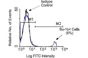 Flow Cytometry (FACS) image for anti-Bu-1b (B Cell Surface Alloantigens) (Bu-1b) antibody (ABIN371415) (Bu-1b Antikörper)