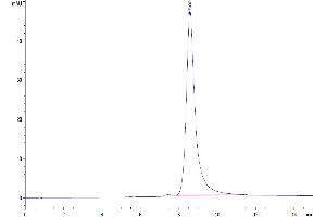 Size-exclusion chromatography-High Pressure Liquid Chromatography (SEC-HPLC) image for Interleukin 20 (IL20) (AA 25-176) protein (Fc Tag) (ABIN7274918)