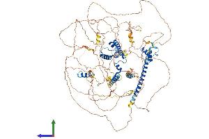 Protein Structure (PS) image for MKL/myocardin-Like 2 (MKL2) (AA 1-1088) protein (His tag) (ABIN7554564)
