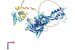 EIF2D Protein (AA 1-584) (His tag)