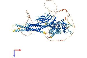 STAT2 Protein (AA 1-923) (His tag)