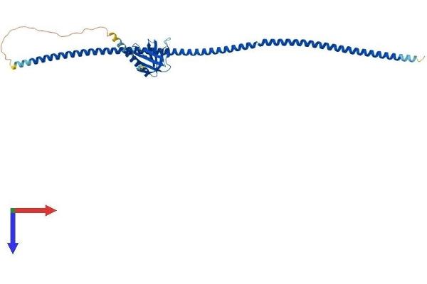 HOMER2 Protein (AA 1-354) (His tag)