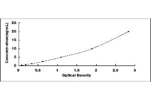 Typical standard curve