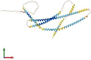 Protein Structure (PS) image for Spermatogenic Leucine Zipper 1 (SPZ1) (AA 1-430) protein (His tag) (ABIN7546239)