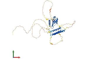 Protein Structure (PS) image for Cleavage and Polyadenylation Specific Factor 7, 59kDa (CPSF7) (AA 1-471) protein (His tag) (ABIN7558885)