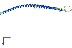 AlphaFold protein structure predicition of Human Recombinant CTAGE3P Protein, UniprotID Q8IX95