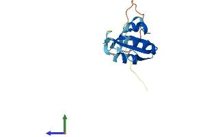 Protein Structure (PS) image for Peptidyl Prolyl Cis/Trans Isomerase NIMA Interacting 4 Protein (PIN4) (AA 1-131) protein (His tag) (ABIN7550797)