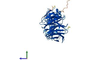 Protein Structure (PS) image for WD Repeat and FYVE Domain Containing 1 (WDFY1) (AA 1-410) protein (His tag) (ABIN7545089)