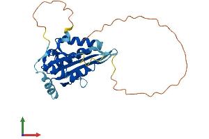 Protein Structure (PS) image for MAF1 Homolog (MAF1) (AA 1-258) protein (His tag) (ABIN7560855)