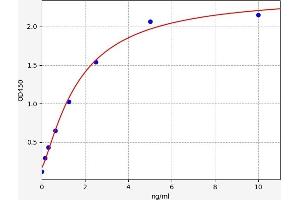 Cyclin D2 ELISA Kit