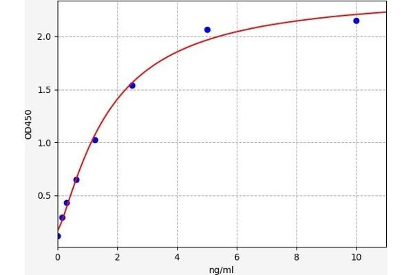 Cyclin D2 ELISA Kit