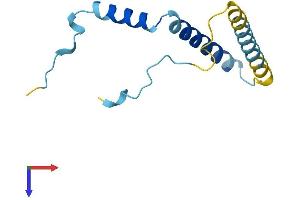 FAM32A Protein (AA 1-112) (His tag)