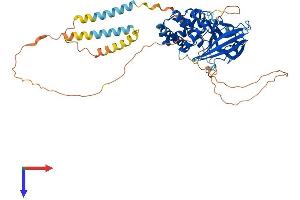 PTPN5 Protein (AA 1-541) (His tag)