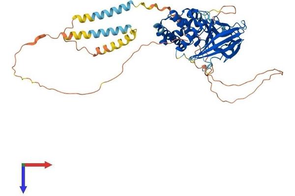 PTPN5 Protein (AA 1-541) (His tag)