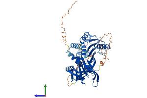 AlphaFold protein structure predicition of Mouse Recombinant Serpina3f Protein, UniprotID Q80X76