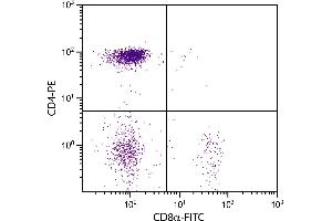 Chicken peripheral blood lymphocytes were stained with Mouse Anti-Chicken CD8α-FITC. (CD8 alpha Antikörper  (FITC))