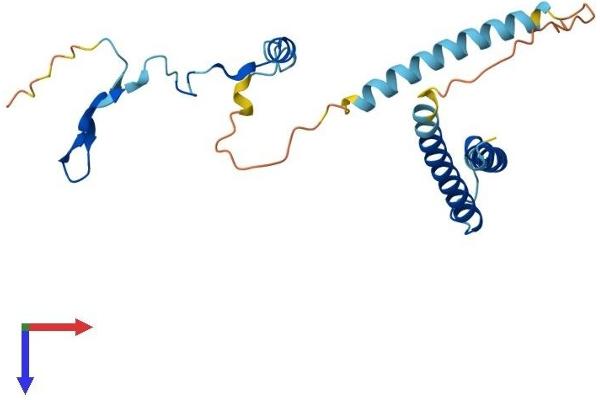 PYM Protein (AA 1-203) (His tag)
