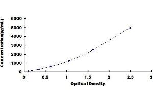 Typical Standard Curve