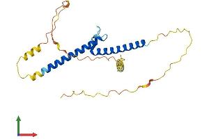 Protein Structure (PS) image for Basic Helix-Loop-Helix Family, Member E23 (BHLHE23) (AA 1-225) protein (His tag) (ABIN7552803)