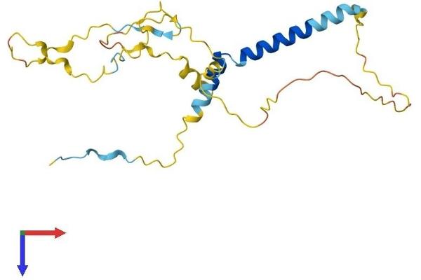 TP53INP2 Protein (AA 1-221) (His tag)