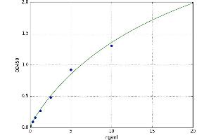 Hyperpolarization Activated Cyclic Nucleotide-Gated Potassium Channel 2 (HCN2) ELISA Kit