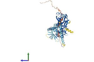 Protein Structure (PS) image for Sodium Channel, Nonvoltage-Gated 1, gamma (SCNN1G) (AA 1-649) protein (His tag) (ABIN7555375)