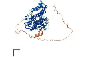 AlphaFold protein structure predicition of Human Recombinant PDSS1 Protein, UniprotID Q5T2R2