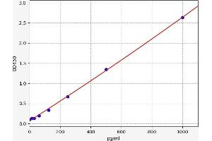 AKAP12 ELISA Kit