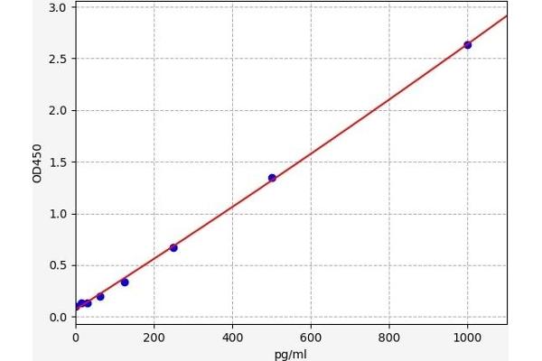 AKAP12 ELISA Kit