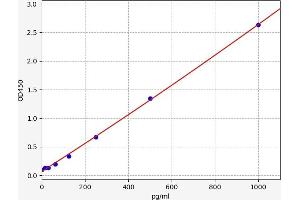 Typical standard curve (AKAP12 ELISA Kit)