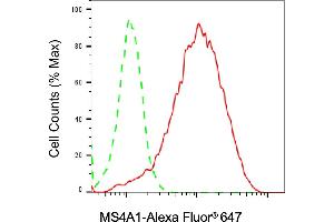Flow cytometric analysis of MS4A1 expression in Raji cells using MS4A1 antibody (ABIN7799370), 1:2,000).