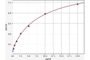 ABCC1 ELISA Kit