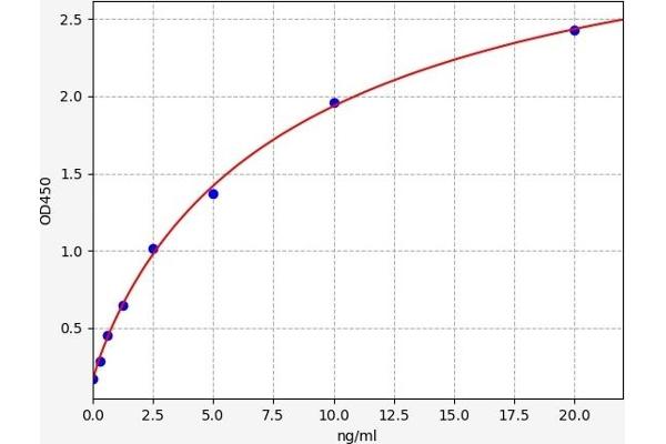 ABCC1 ELISA Kit