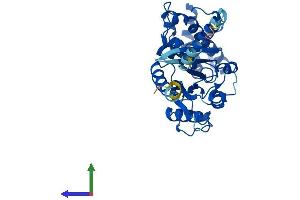 Protein Structure (PS) image for Guanine Nucleotide Binding Protein (G Protein), alpha 14 (GNa14) (AA 1-355) protein (His tag) (ABIN7563094)