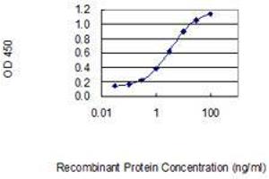 Detection limit for recombinant GST tagged IL23A is 0. (IL23A Antikörper  (AA 1-189))